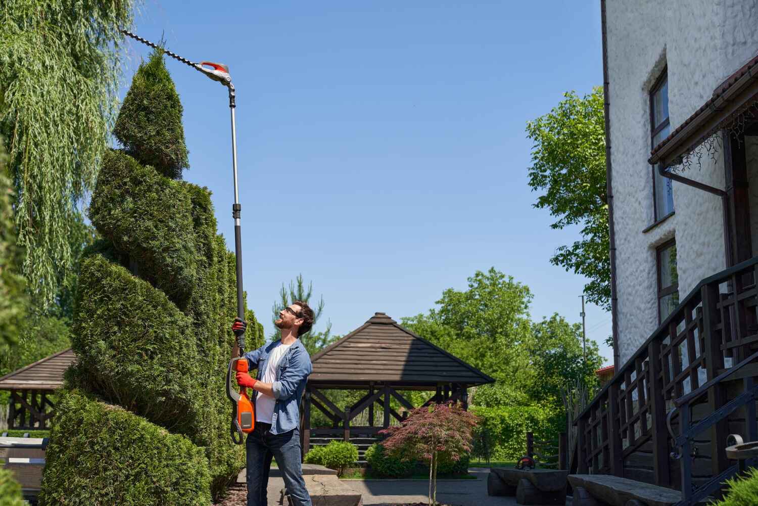 Best Tree Pruning Services  in San Antonio, FL